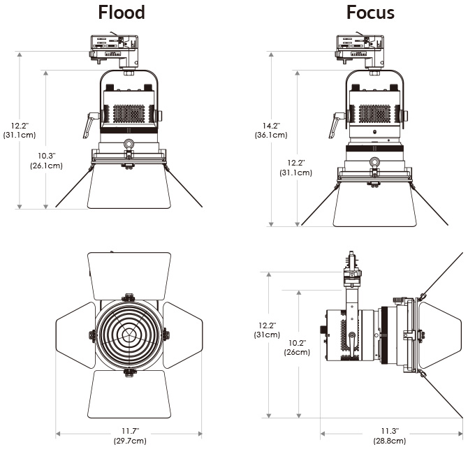 Fiilex P3F Fresnel Light